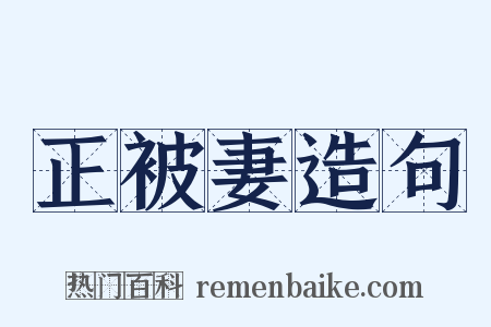 正被妻造句是什么意思的图片